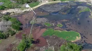 UNAM advierte contaminación del agua a causa de las granjas porcícolas en Yucatán