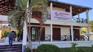 Imoveqroo advierte por comercialización de licencias de conducir irregulares por redes sociales