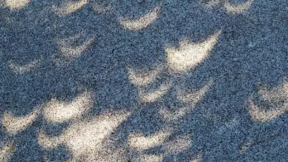 ¿Es seguro ver las sombras de la luna durante un eclipse solar?