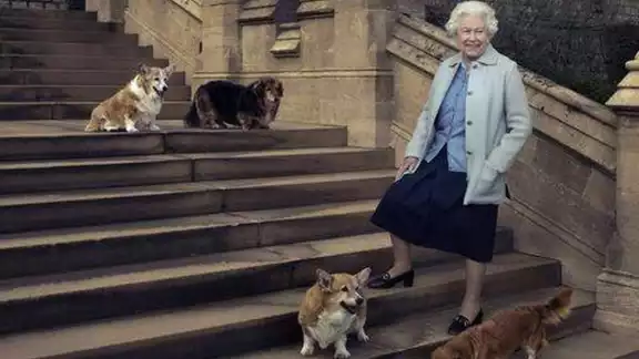 Ellos son los elegidos para quedarse con los perros corgis de la Reina Isabel II Ellos son los elegidos para quedarse con los perros corgis de la Reina Isabel II