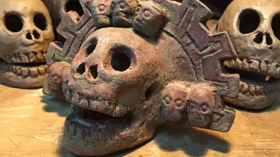 También los encuentras en forma de: Monos, Felinos, Lagartos