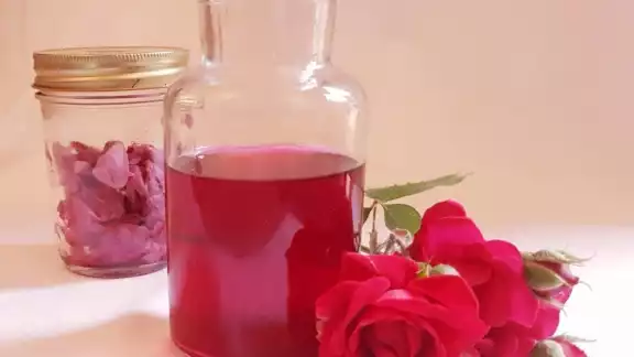 Estrés, es uno de las enfermedades que podría combatir por el consumo de agua de rosas Estrés, es uno de las enfermedades que podría combatir por el consumo de agua de rosas