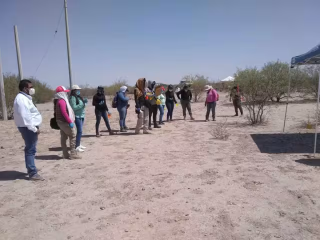 Los restos localizados serán analizados por personal de servicios periciales