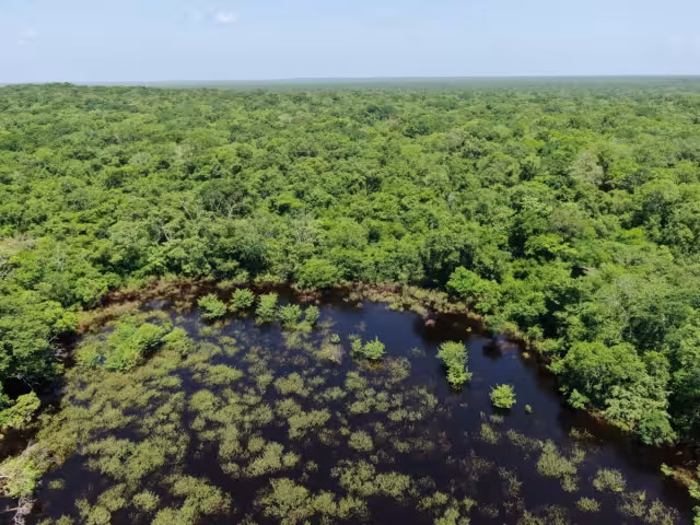 Los aluxes viven en los cenotes y grutas de Yucatán