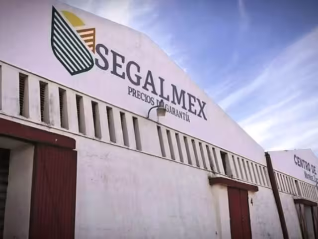 Suman 9 detenidos por desfalco millonario a Segalmex