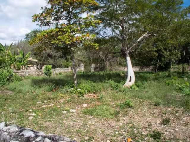 Conflicto agrario: mil 200 hectáreas en disputa en Campeche
