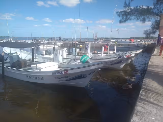 Pescadores no ven redituable la captura del pepino de mar