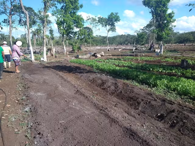 Denunciaron mal manejo del programa y abuso por parte de un coordinador