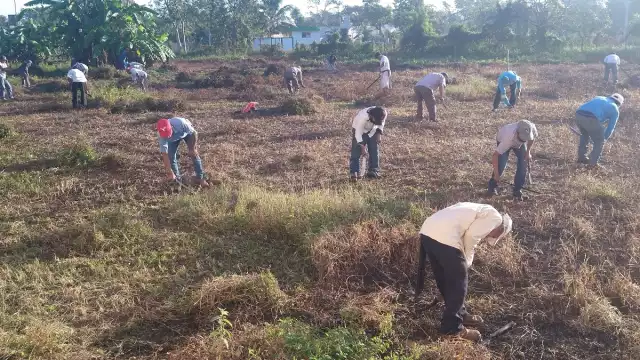 Foto: Efraín Valencia.