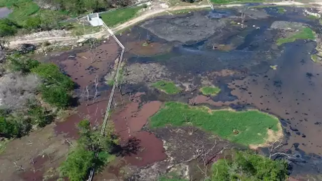 El Anillo de los Cenotes suministra el 42% del vital líquido.