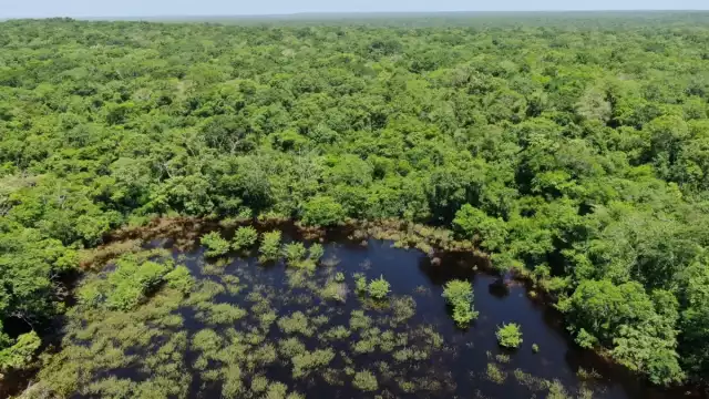 Los aluxes viven en los cenotes y grutas de Yucatán