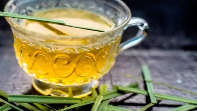 La planta de zacate limón, también se le conoce como té de limón y es una de las bebidas más populares gracias a sus beneficios a la salud