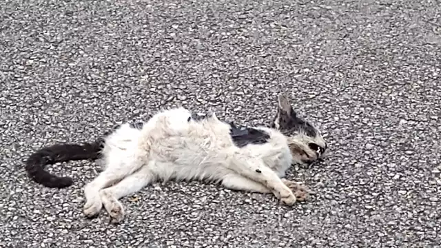 Foto: Efraín Valencia