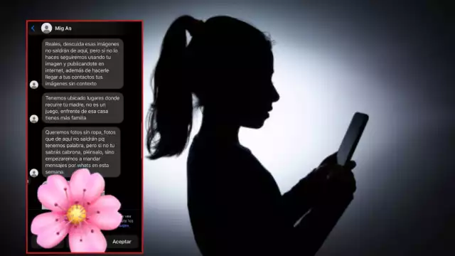 Su invasión a la privacidad y ataques constantes llegaron a tal extremo que su caso hoy está en manos de la Policía Cibernética para tratar de dar con los responsables