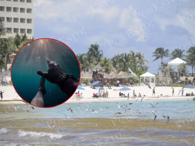 Playa Delfines, Marlin, Langosta y Caracol muestran banderas rojas, advirtiendo el peligro; en otras ondean amarillas