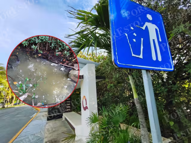 Foatqroo contamina la Laguna Nichupté mientras remodela paraderos en Cancún