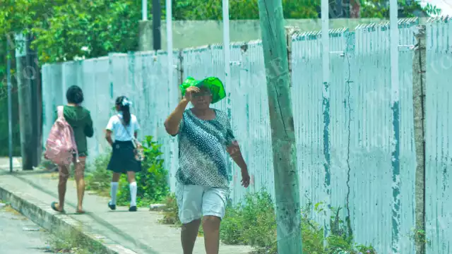 Durante la mañana predominará el sol y chubascos aislados hacia la tarde o noche