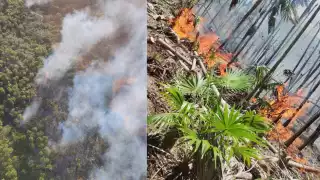 Conap investiga causa del incendio en Holbox; señalan posible acto intencional