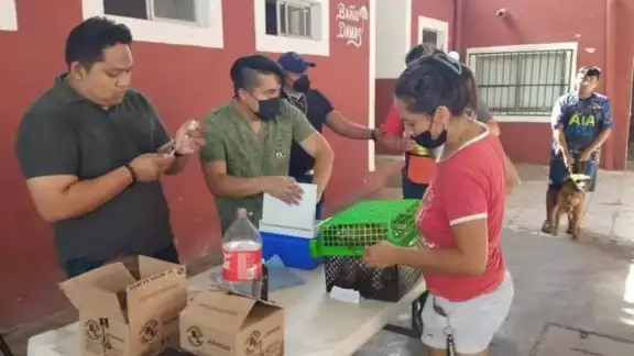 Se registró gran afluencia de personas Se registró gran afluencia de personas