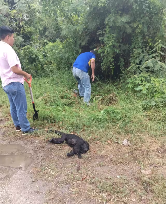 Personal del municipio llegó al lugar para verificar el suceso.