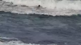 Rescatan a joven que fue arrastrado por el mar más de 50 metros en Isla Mujeres