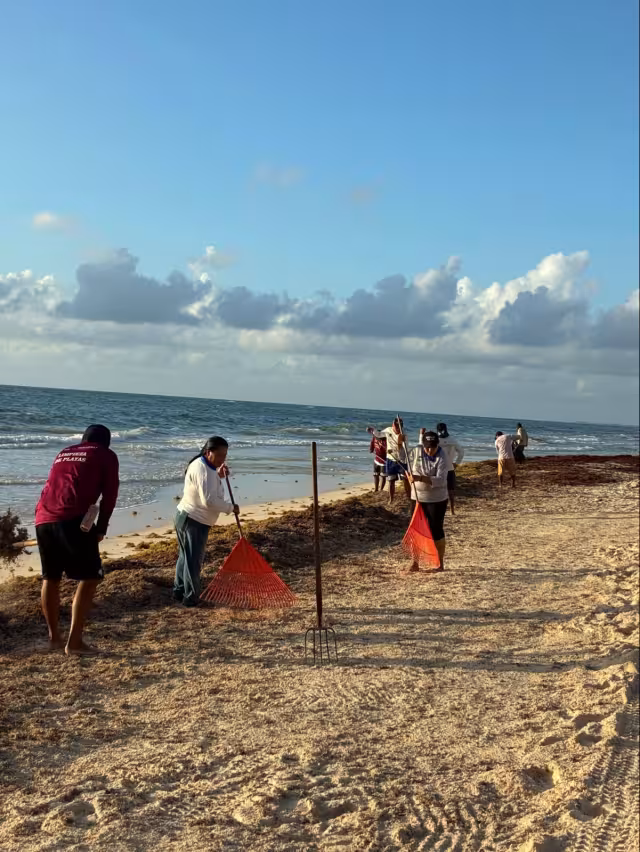 Actualmente se cuenta con 10 contenedores instalados en la zona hotelera