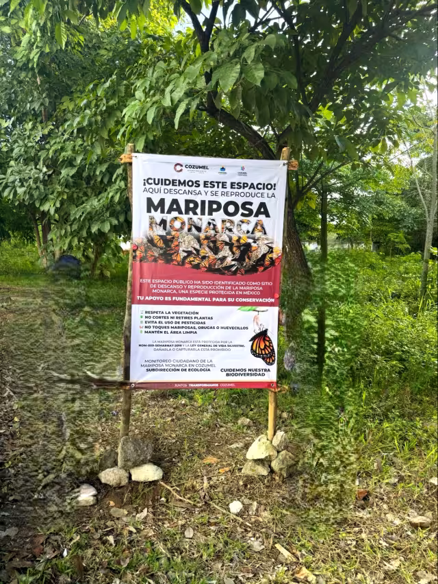 El espacio se creó en un predio de la Av. Félix González Canto, entre Juárez y 3 Sur.