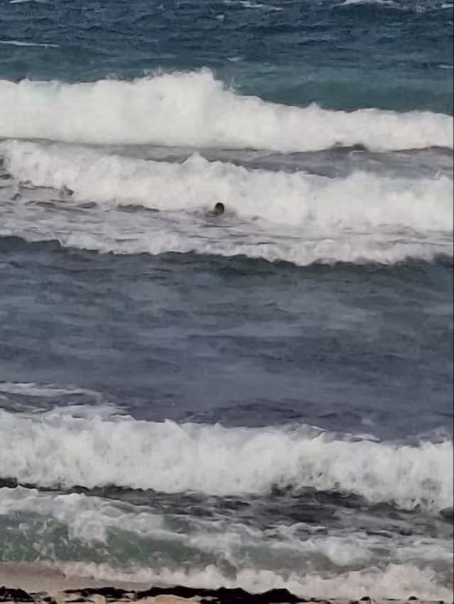 El joven no pudo regresar a la playa y personal de Protección Civil lo rescató.