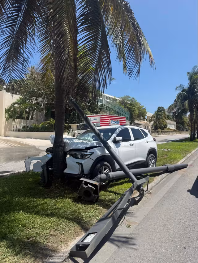 La camioneta terminó impactando la palmera y derribando algunos postes.