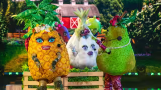 Fresa, Ajo, Piña y Pera se robaron el corazón del panel de investigadores