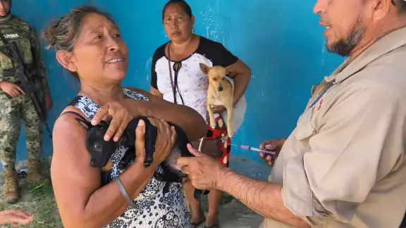 La Secretaría de Salud de Campeche aplica este viernes 29 de agosto la vacuna antirrábica gratuita para perros y gatos en 7 municipios. La Secretaría de Salud de Campeche aplica este viernes 29 de agosto la vacuna antirrábica gratuita para perros y gatos en 7 municipios.