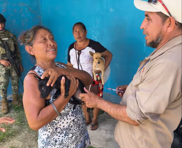 La Secretaría de Salud de Campeche aplica este viernes 29 de agosto la vacuna antirrábica gratuita para perros y gatos en 7 municipios.