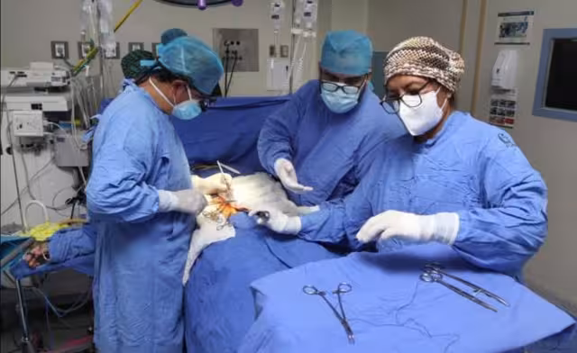 El director del Ceetry informó que se han reportado 47 concesiones de personas fallecidas