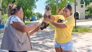 Realizan jornada de vacunación para perros y gatos con gran asistencia en la comunidad