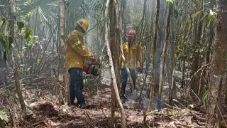 En Bacalar se registraron seis; y en Tulum tres