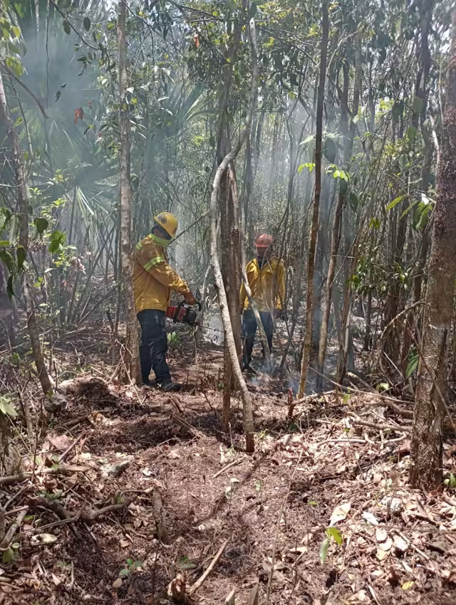 En Bacalar se registraron seis; y en Tulum tres
