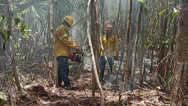 En Bacalar se registraron seis; y en Tulum tres