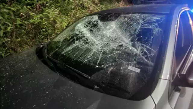 Socios de la plataforma de transporte señalan que seguirán luchando por sus derechos