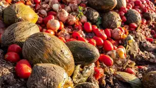 La ONU estima que casi el 20% de alimentos en el mundo se desperdicia