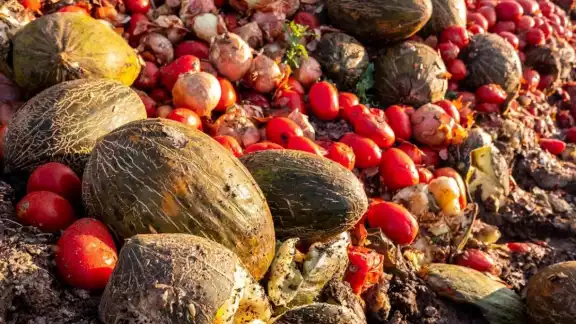 La ONU reportó que se tira a la basura grandes cantidades de alimentos La ONU reportó que se tira a la basura grandes cantidades de alimentos