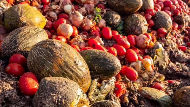 La ONU reportó que se tira a la basura grandes cantidades de alimentos