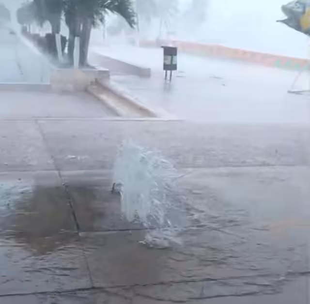 Peligro eléctrico en el mercado: filtraciones de agua ponen en riesgo a locatarios y clientes