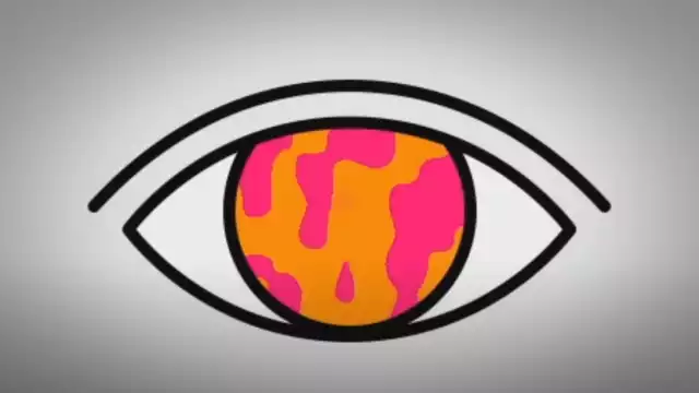 Este canal fue creado el 15 de junio de 2017 y en su descripción se encuentra un mensaje en inglés que ha dejado atónitos a todos los cibernautas