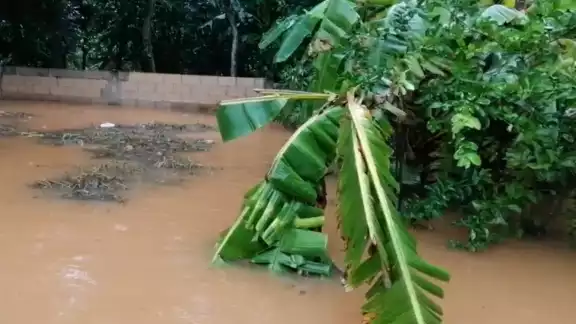 Mauricio Vila Dosal mencionó que ya se encuentra Protección Civil y la SSP ayudando a los habitantes