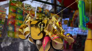 La mayoría no ve un futuro prometedor respecto a este 2021, ya que están descapitalizados