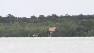 La cabaña está en zona de manglares