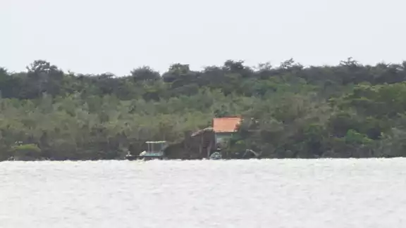 La cabaña está en zona de manglares La cabaña está en zona de manglares