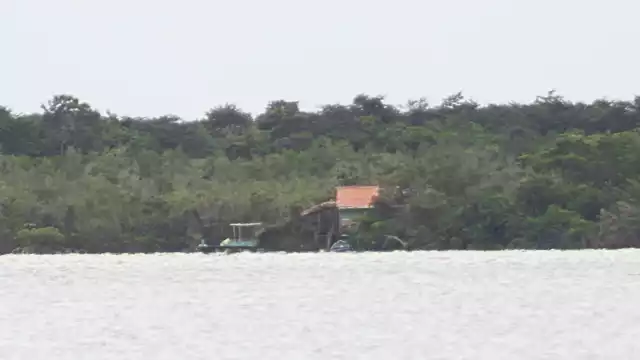 La cabaña está en zona de manglares