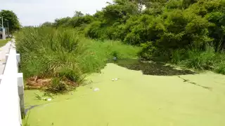 Foto: Fernando Kantún