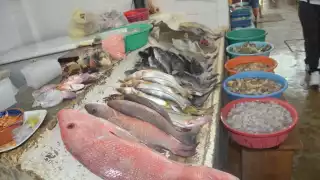 FOTOS: Fernando Kantún